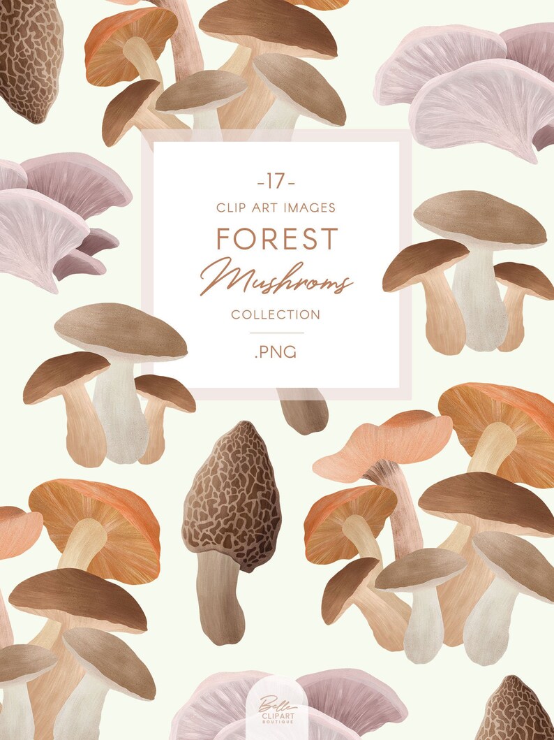 Op de afbeelding: Een digitale illustratie van 17 verschillende soorten paddenstoelen in verschillende kleuren en vormen. De paddenstoelen zijn willekeurig gerangschikt op een lichtgroene achtergrond. De tekst "17 - CLIP ART IMAGES FOREST Mushrooms COLLECTION .PNG" staat in een wit kader in het midden van de afbeelding.