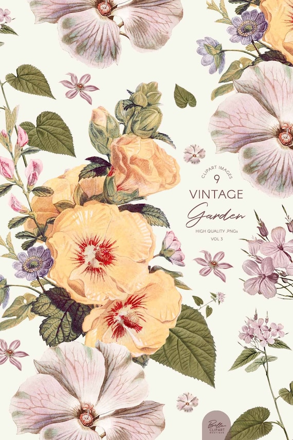 Vintage Floral PNG Clipart: Botanical Illustrations for Wedding invitations, small business Branding or packaging (PNG Digital Download)