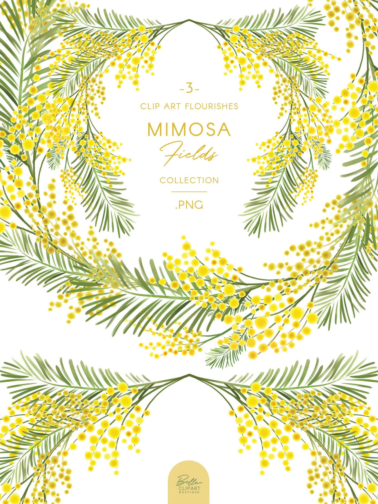 Mimosa Flourish Frame & Wreath Clip Art, Yellow Watercolor Acacia