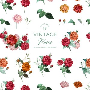 May include: A digital download of 18 vintage rose illustrations. The roses are in shades of red, orange, and pink. The illustrations are high quality PNG files.