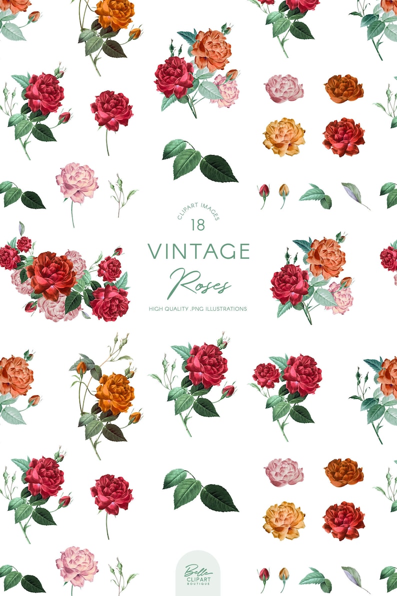 May include: A digital download of 18 vintage rose illustrations. The roses are in shades of red, orange, and pink. The illustrations are high quality PNG files.