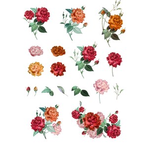May include: A set of 18 vintage roses and floral elements in shades of red, orange, and pink. The tallest element is around 390 pixels.