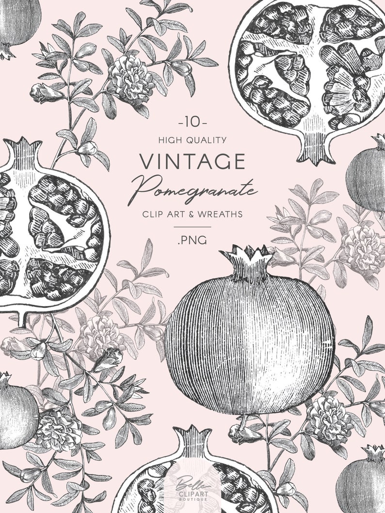 Może przedstawiać: Zestaw 10 vintage ilustracji granat&oacute;w i liści. Ilustracje są w czerni i bieli i mają szczeg&oacute;łowy, ręcznie rysowany styl. Tekst "Vintage Pomegranate Clip Art & Wreaths .PNG" jest zawarty w obrazie.