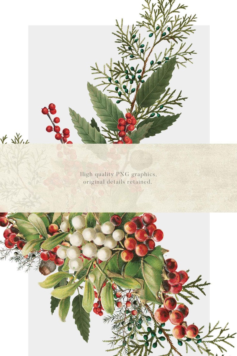 Vintage Christmas Clip Art, PNG Greenery Flourishes, Bouquets & Wreaths, Festive Winter 