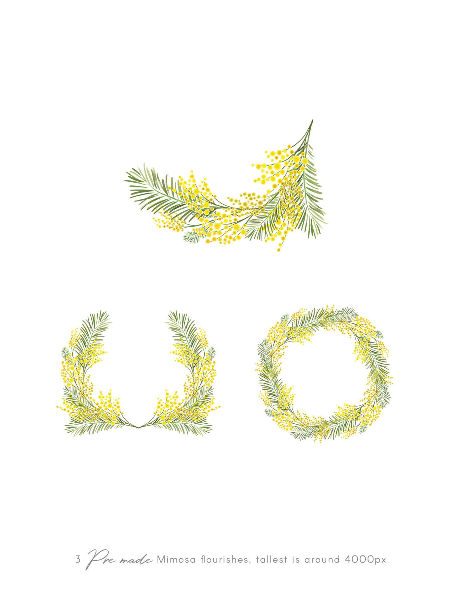 Mimosa Flourish Frame & Wreath Clip Art, Yellow Watercolor Acacia