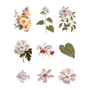 May include: Nine vintage floral bouquets with various colors and styles, including yellow, pink, and white flowers. The bouquets are isolated on a white background.