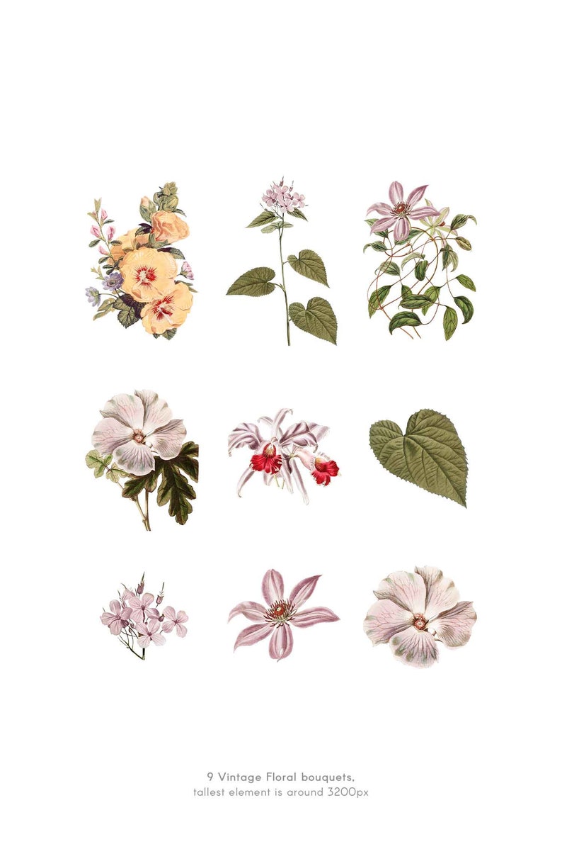 May include: Nine vintage floral bouquets with various colors and styles, including yellow, pink, and white flowers. The bouquets are isolated on a white background.