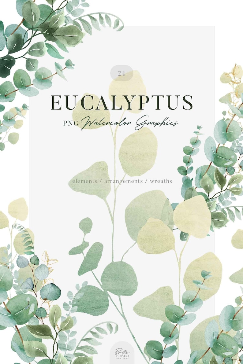 Watercolor Eucalyptus Greenery PNG Clip Art, Painted Botanical ...