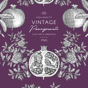 Może przedstawiać: Zestaw 10 wysokiej jakości vintage grafik i wieńc&oacute;w z granat&oacute;w w formacie PNG. Obrazy przedstawiają szczeg&oacute;łowe ilustracje granat&oacute;w i liści w stylu czarno-białym na fioletowym tle.