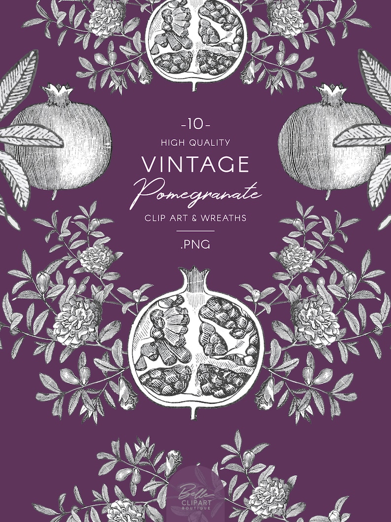 Może przedstawiać: Zestaw 10 wysokiej jakości vintage grafik i wieńc&oacute;w z granat&oacute;w w formacie PNG. Obrazy przedstawiają szczeg&oacute;łowe ilustracje granat&oacute;w i liści w stylu czarno-białym na fioletowym tle.
