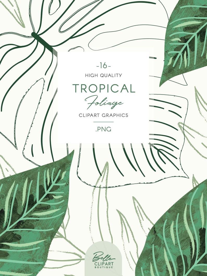 botanical line drawing /& wreaths hand painted leaf illustration Tropical Foliage clip art