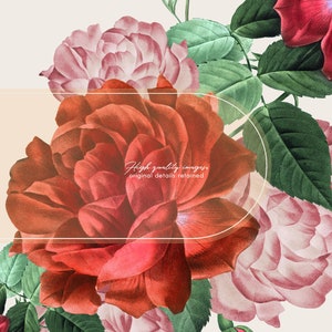 May include: A bouquet of red and pink roses with green leaves. The roses are arranged in a cluster, with the red roses in the center and the pink roses around the edges. The text "High quality images, original details retained" is visible in the center of the image.