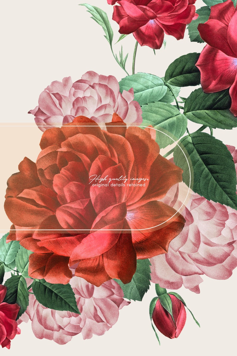 May include: A bouquet of red and pink roses with green leaves. The roses are arranged in a cluster, with the red roses in the center and the pink roses around the edges. The text "High quality images, original details retained" is visible in the center of the image.