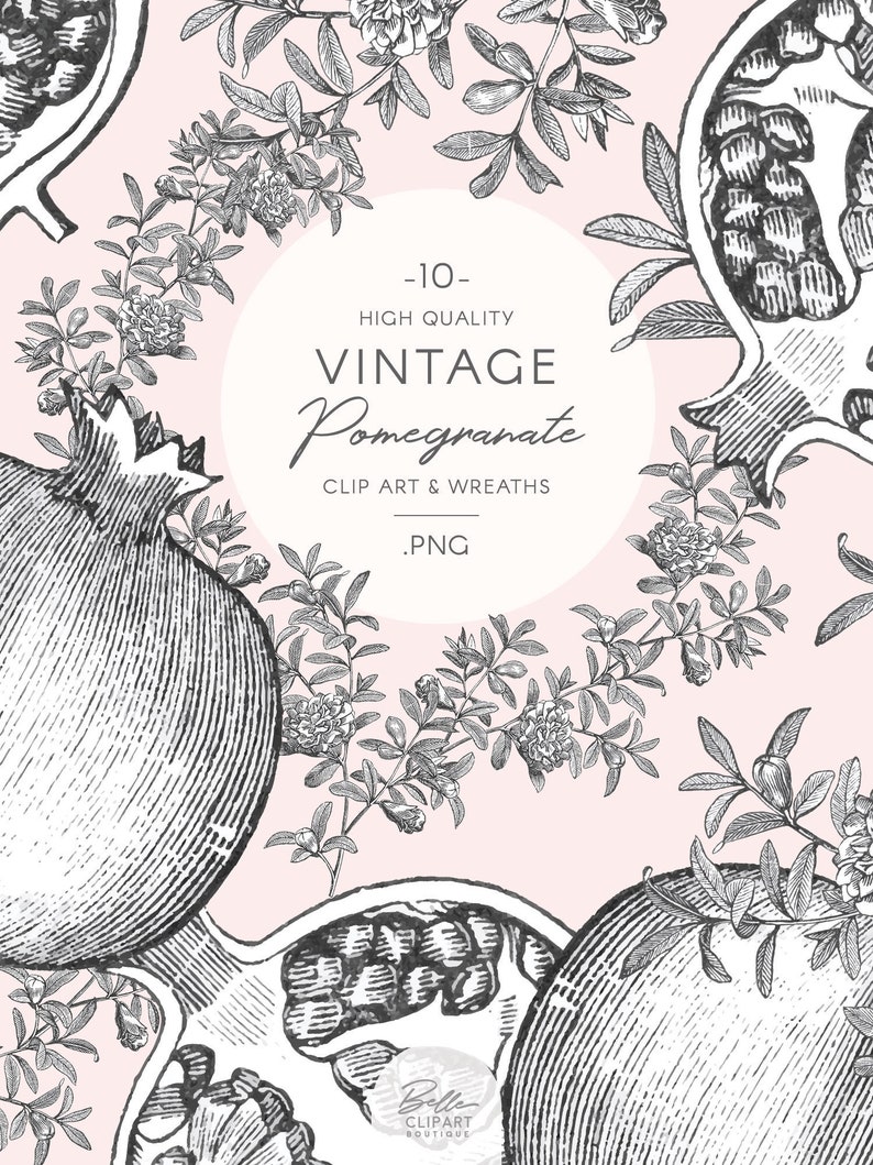 Może przedstawiać: Winietkowe czarno-białe ilustracje granat&oacute;w i liści na r&oacute;żowym tle. Tekst "Vintage Pomegranate Clip Art & Wreaths .PNG" znajduje się w k&oacute;łku w środku obrazu.