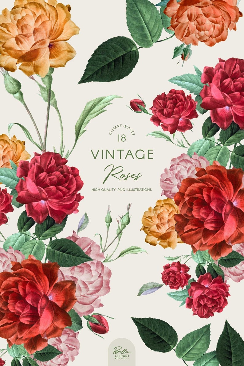 May include: A digital illustration of 18 vintage roses in various shades of red, pink, and orange. The roses are arranged in a bouquet with green leaves and stems. The text "CLIPART IMAGES 18 VINTAGE Roses HIGH QUALITY PNG ILLUSTRATIONS" is displayed in a circle.