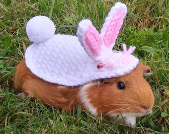 Sushi Costume for Small Pets and Hedgehogs Etsy New Zealand