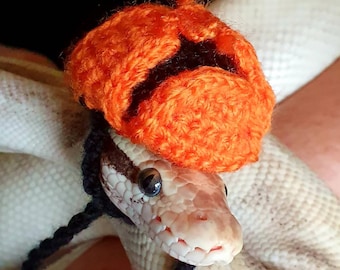 Tiny Reptile Hat: Custom Acrylic Pet Costume
