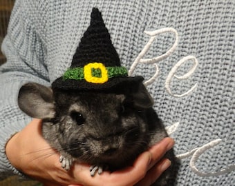 Witch pet hat, tiny witch hat, knitted hat, witch hat for guinea pig, chinchilla, hamster, sugar glider, mouse, cat, dog, lizard, snake