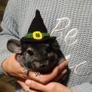 Chinchilla hats for outlet sale