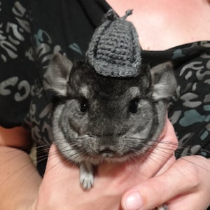 Detective hat, Hat for snake, Hamster hat, Reptile hat, Bearded dragon clothes, Guinea pig clothes, Guinea pig hat, Rat hat, Hedgehog hat
