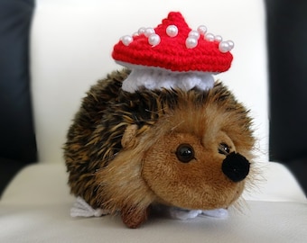 Tiny fly agaric hat, Hamster hat, Reptile hat, Bearded dragon clothes, Snake clothes, Mushroom hat, Guinea pig hat, Rat hat, Hedgehog hat