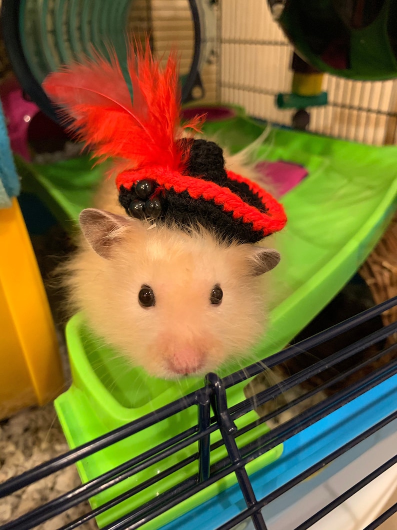 Hat for snake Hamster hat Reptile hat Bearded dragon Etsy