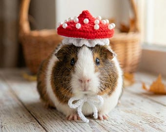 Hoed kleine vliegenzwam: kleding voor reptielen, hamsters en cavia's
