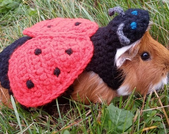 Guinea pig costume, Tiny pet outfit, Guinea pig clothes,  Ladybug costume for guinea pig, costume for rat, rat clothes, bearded dragon