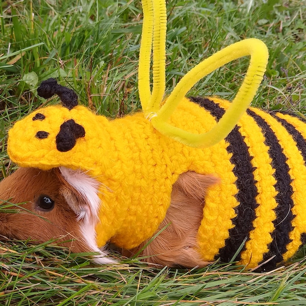 Guinea pig costume, Geco bee costume, Guinea pig clothes,  Bee costume for guinea pig, costume for rat, rat clothes, bearded dragon