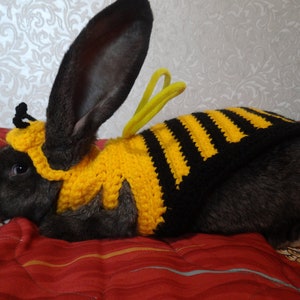 Pet rabbit costume, bee costume for guinea pig, clothes for bunnies, bee costume for pet, clothes for guinea pig