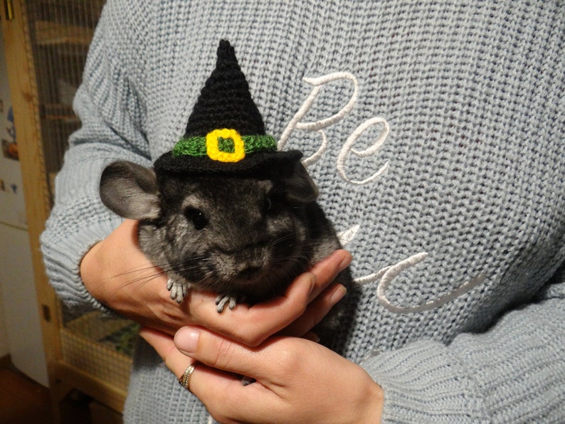 Witch pet hat tiny witch hat knitted hat witch hat for image 0