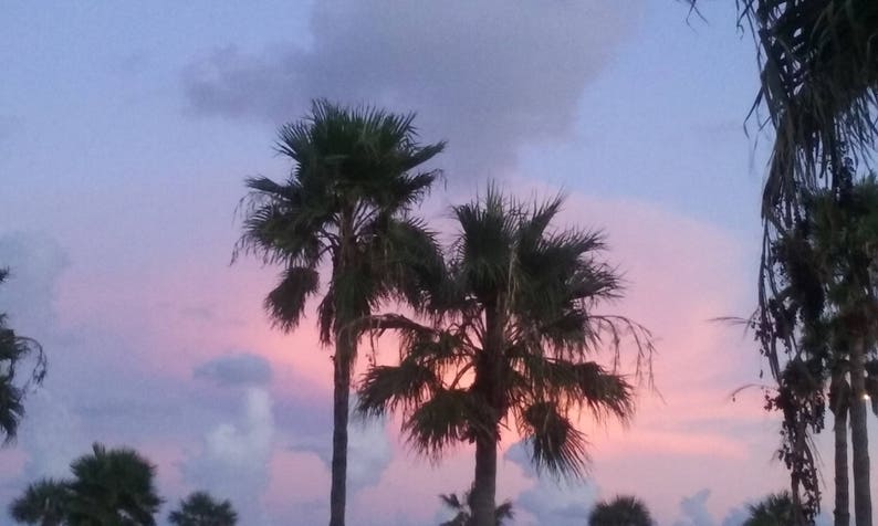 Island Sunset wth Palm Trees
