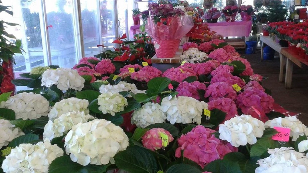 Fannin Street Flower Market Just Outside of Downtown Houston Etsy