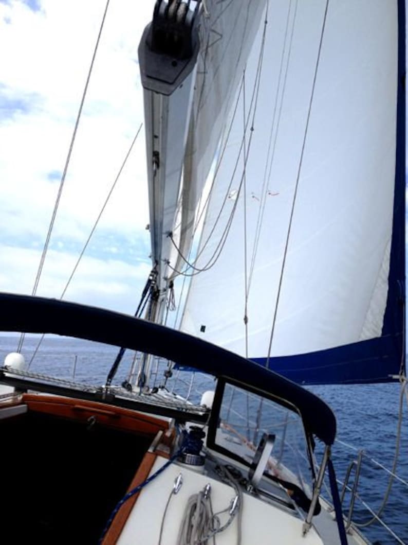 Sailing in Galveston Bay with the Wind in Our Sails.
