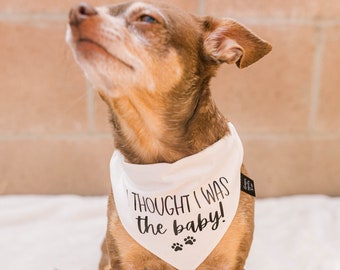 I thought I was the baby dog bandana, dog bandana pregnancy announcement, dog baby announcement, dog pregnancy announcement