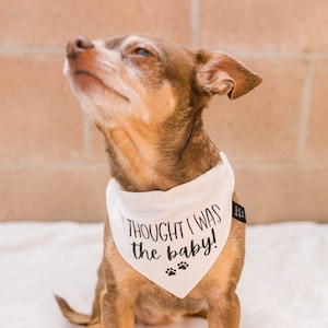 Ich dachte, ich wäre das Baby Hundehalstuch, Hundehalstuch Schwangerschaftsmitteilung, Hundebabymitteilung, Hundeschwangerschaftsmitteilung
