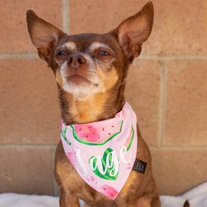 PERSONALIZED Watermelon Dog Bandanan, Over The Collar Summer Dog Bandana, Watermelon Bandana for dogs, Custom Dog Scarf, summertime bandana