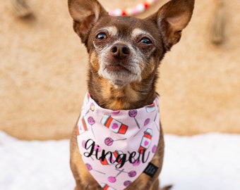 Coffee and Cake Pop Personalized Dog Bandana, Valentines Day Dog Bandana, Pink Valentines Over the collar Dog Bandana, ginger meets sage