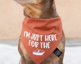 Thanksgiving Over The Collar Dog Bandana, Im just here for the pie dog bandana, cute fall dog bandana, Slip on Harvest Bandana, Puppy scarf