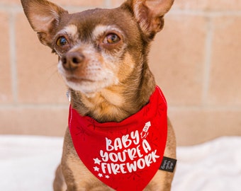 4th of July Over The Collar Dog Bandana, Firework Dog Bandana, Patriotic Dog Bandana, Slip on bandana, Ginger Meets Sage