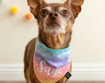 Pastel Rainbow Dog Bandana, Spring Dog Bandana,  Easter Dog Bandana, Dog Mom Gift, Personalized Dog Bandana, Slip on Bandana, Rainbow