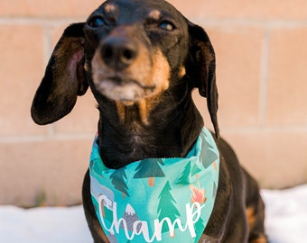 Personalized Camping Over The Collar Dog Bandana, Camping Dog Bandana, Boy Dog Bandana, Ginger Meets Sage