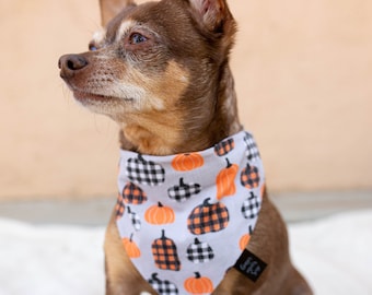 Herfstpompoen over de kraag hondenbandana, herfsthondenbandana, geruite herfsthondenbandana, herfstbandana, aangepaste hondenbandana