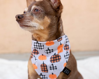 Fall Pumpkin Over The Collar Dog Bandana, Fall Dog Bandana, Plaid Fall Dog Bandana, Fall Bandana, Customized Dog Bandana