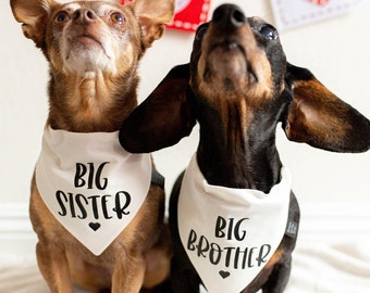 Big Sister Dog Bandana, Big Brother Dog Bandana, Anuncio de embarazo, Embarazada, Over the Collar Bandana, Anuncio de bebé