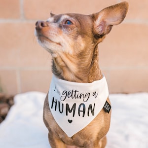 Ik krijg een menselijke Dog Bandana, schattig idee voor zwangerschapsaankondiging, Dog Sibling Bandana, Ginger Meets Sage