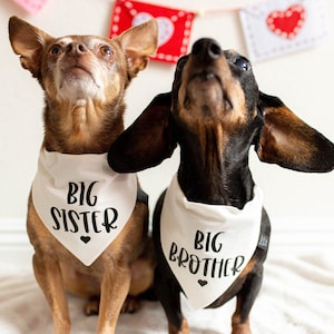 Dog baby announcement shirt sale