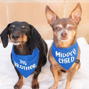 Big Brother Over the Collar Dog Bandana, Cute Pregnancy announcement idea with dog, Pregnancy announcement dog bandana, big brother dog image 1