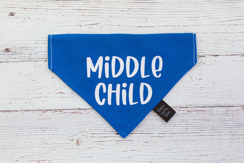 Big Brother Over the Collar Dog Bandana, Cute Pregnancy announcement idea with dog, Pregnancy announcement dog bandana, big brother dog image 6
