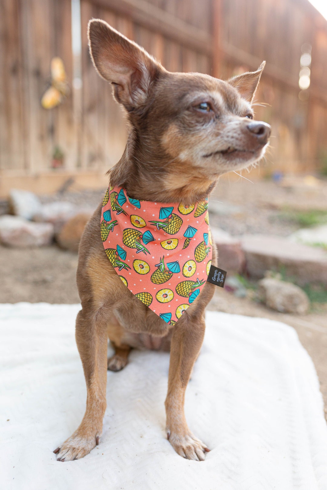 Pineapple Over the Collar Dog Bandana Custom Dog Bandana Etsy